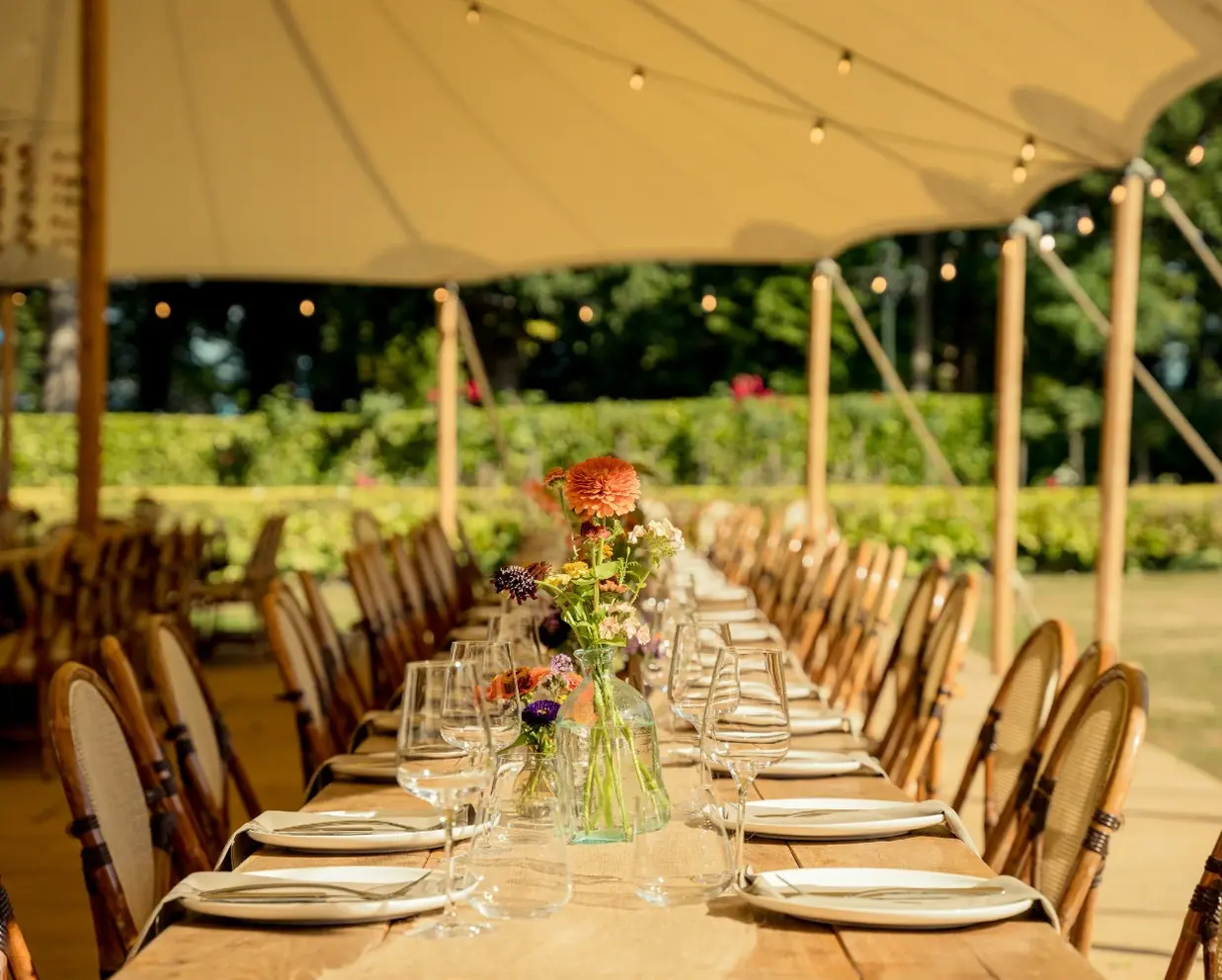 Corporate event aerial security